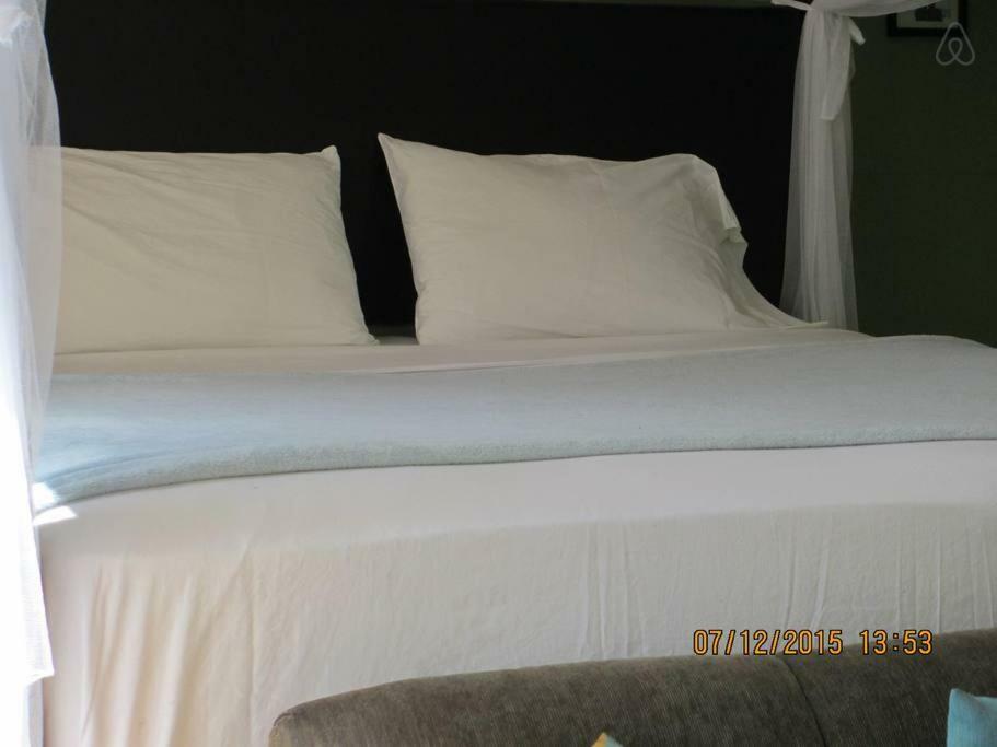 Kingsworth Bed And Breakfast Кингстон Экстерьер фото