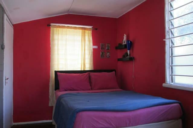 Kingsworth Bed And Breakfast Кингстон Экстерьер фото